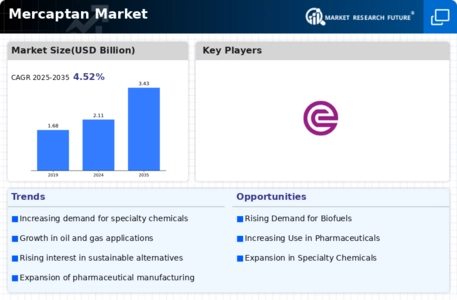 Mercaptan Market Infographic