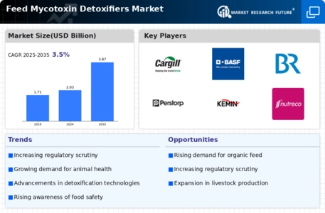 Feed Mycotoxin Detoxifiers Market Infographic