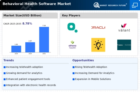 Behavioral Health Software Market Infographic