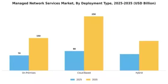 Managed Network Services Market Segment Image 0