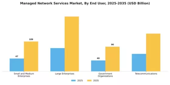 Managed Network Services Market Segment Image 1