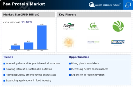 Pea Protein Market Infographic