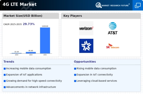 4G LTE Market Infographic