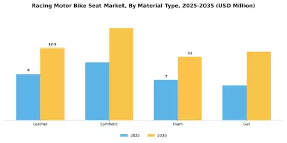 Racing Motor Bike Seat Market Segment Image 2