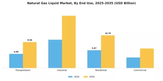 Natural Gas Liquid (NGL) Market Segment Image 1