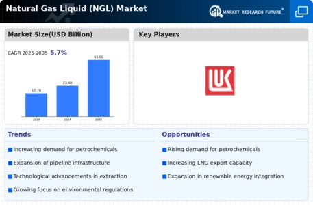 Natural Gas Liquid Market Infographic