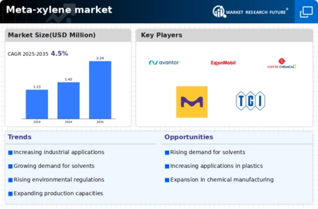 Meta Xylene Market Infographic