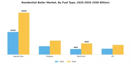 Residential Boiler Market Segment Image 3