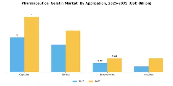 Pharmaceutical Gelatin Market Segment Image 0