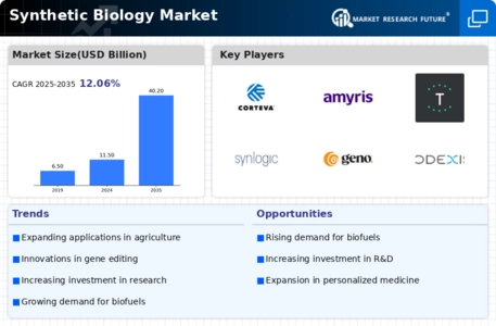 Synthetic Biology Market Infographic