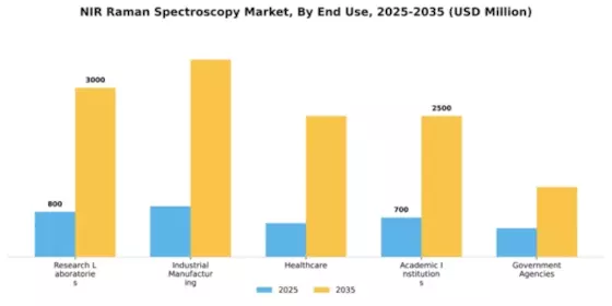 NIR Raman Spectroscopy Market Segment Image 1