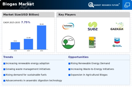 Biogas Market Infographic