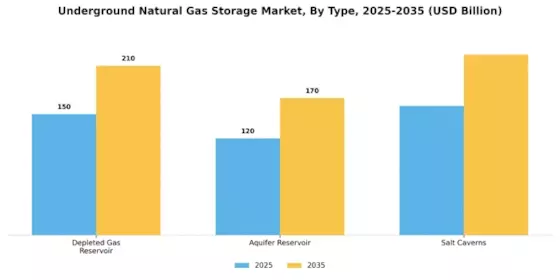 Underground Natural Gas Storage Market Segment Image 0