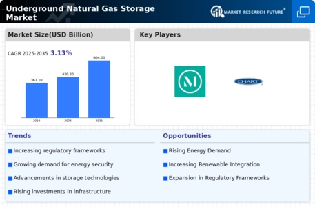 Underground Natural Gas Storage Market Infographic
