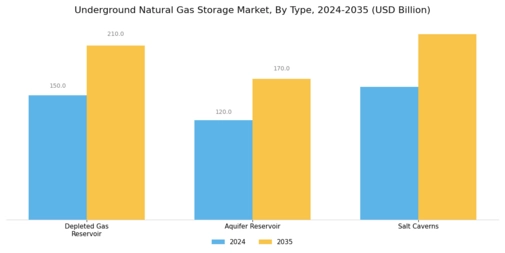 Underground Natural Gas Storage Market Segment Image 0