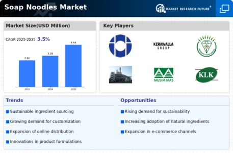 Soap Noodles Market Infographic