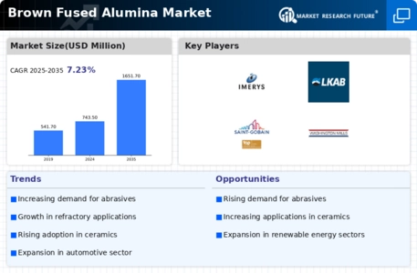Brown Fused Alumina Market Infographic