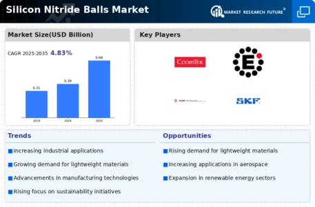 Silicon Nitride Balls Market Infographic