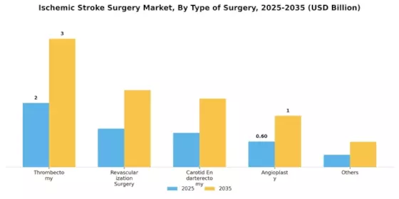 Ischemic Stroke Surgery Market Segment Image 2