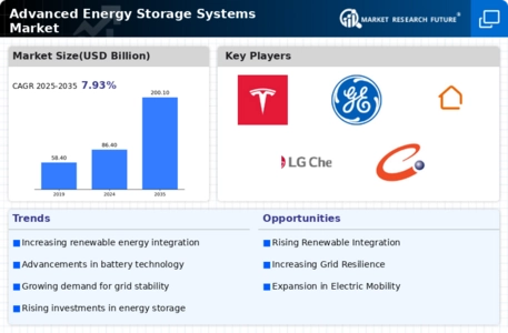 Advanced Energy Storage Systems Market Infographic