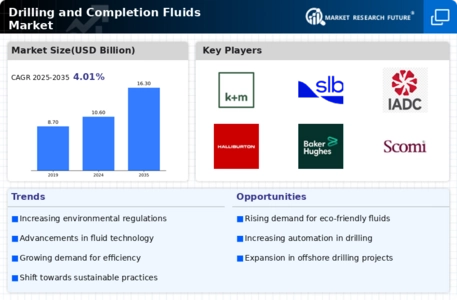 Drilling and Completion Fluids Market Infographic