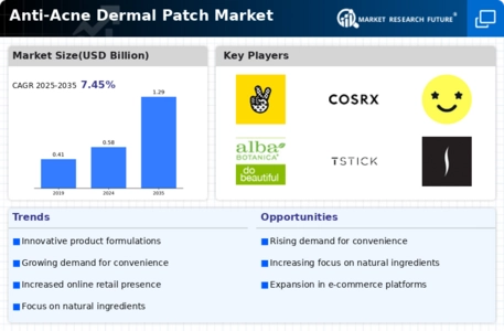 Anti Acne Dermal Patch Market Infographic