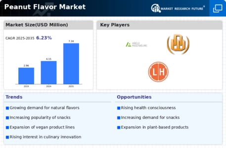 Peanut Flavor Market Infographic