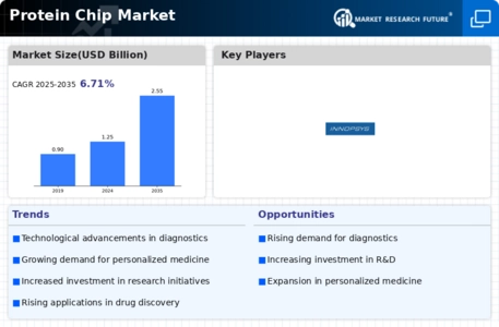 Protein Chip Market Infographic
