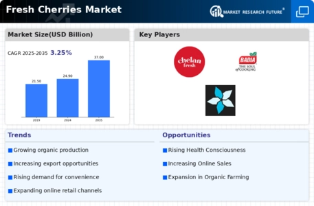 Fresh Cherries Market Infographic