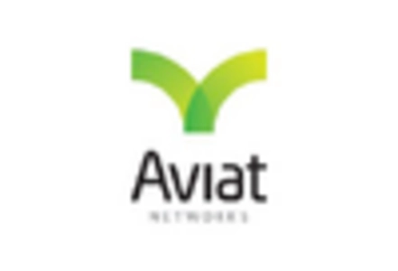 Network Engineering Services Market key player