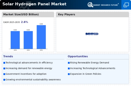 Solar Hydrogen Panel Market Infographic