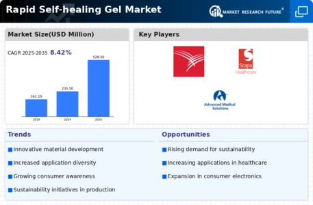 Rapid Self healing Gel Market Infographic