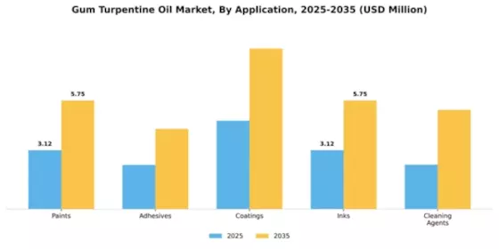 Gum Turpentine Oil Market Segment Image 0