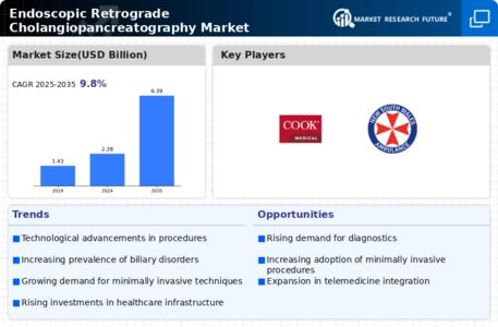 Endoscopic Retrograde Cholangiopancreatography Market Infographic