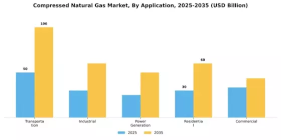 Compressed Natural Gas Market Segment Image 0