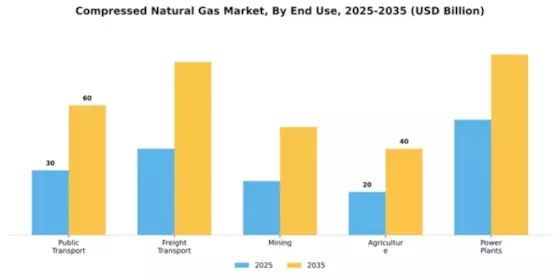 Compressed Natural Gas Market Segment Image 2