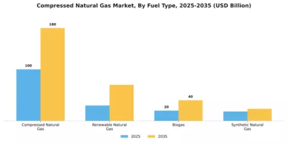 Compressed Natural Gas Market Segment Image 3