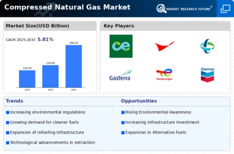 Compressed Natural Gas Market Infographic