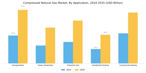 Compressed Natural Gas Market Segment Image 0