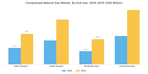 Compressed Natural Gas Market Segment Image 1