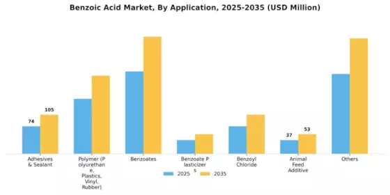 Benzoic Acid Market Segment Image 0