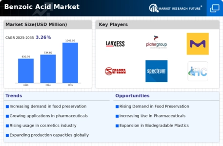 Benzoic Acid Market Infographic