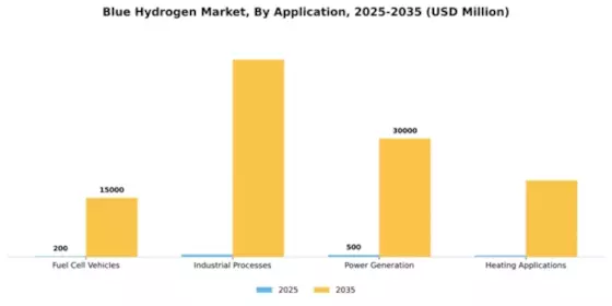 Blue Hydrogen Market Segment Image 0