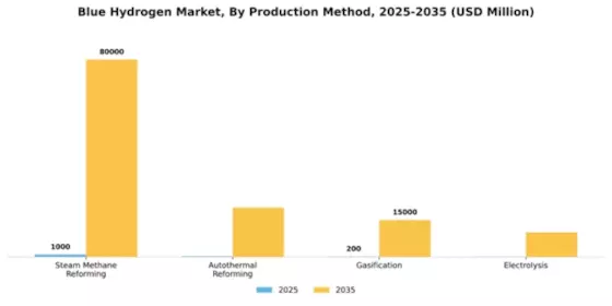 Blue Hydrogen Market Segment Image 2