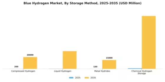 Blue Hydrogen Market Segment Image 3