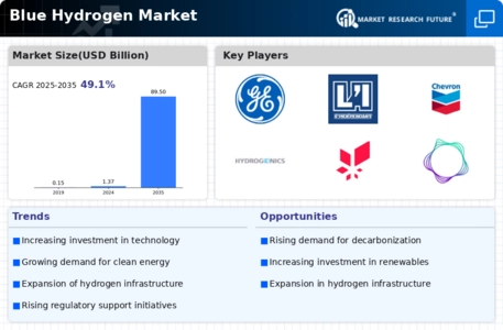 Blue Hydrogen Market Infographic