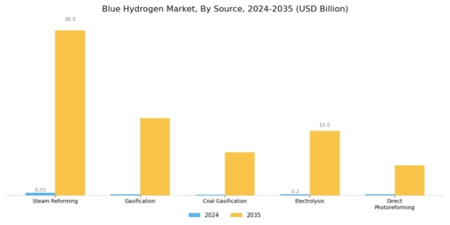 Blue Hydrogen Market Segment Image 0