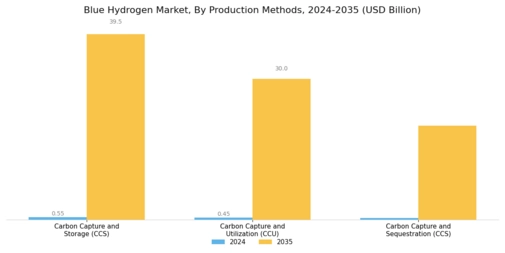 Blue Hydrogen Market Segment Image 1