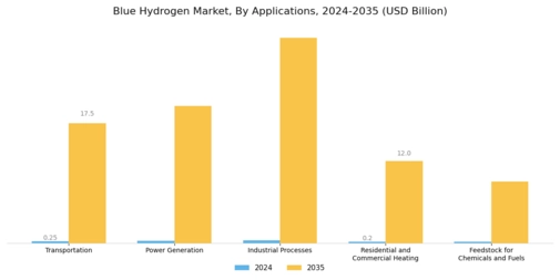 Blue Hydrogen Market Segment Image 2