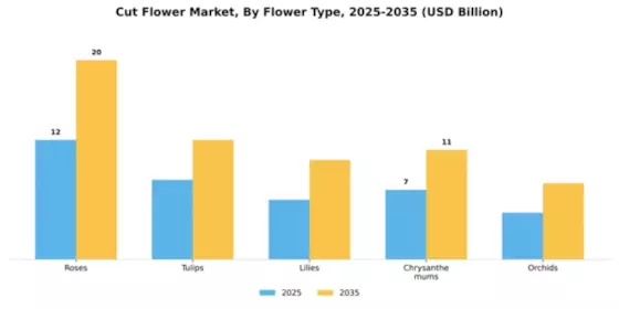 Cut Flower Market Segment Image 3